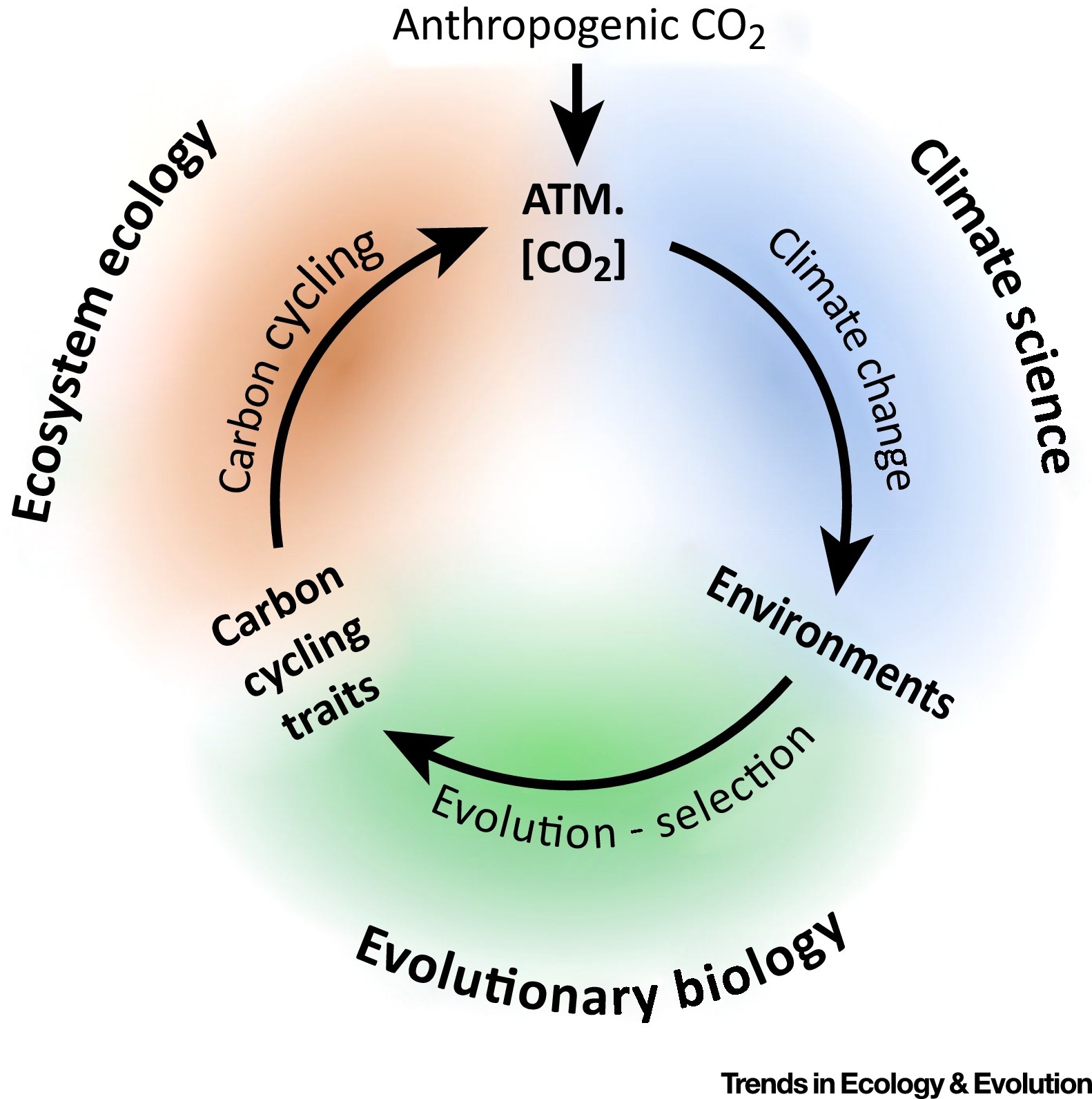 1 S2.0 S0169534717303245 Gr3 Lrg
