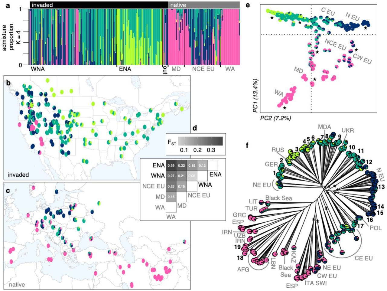 Local Adaptation to Climate Facilitates a Global Invasion: Preprint