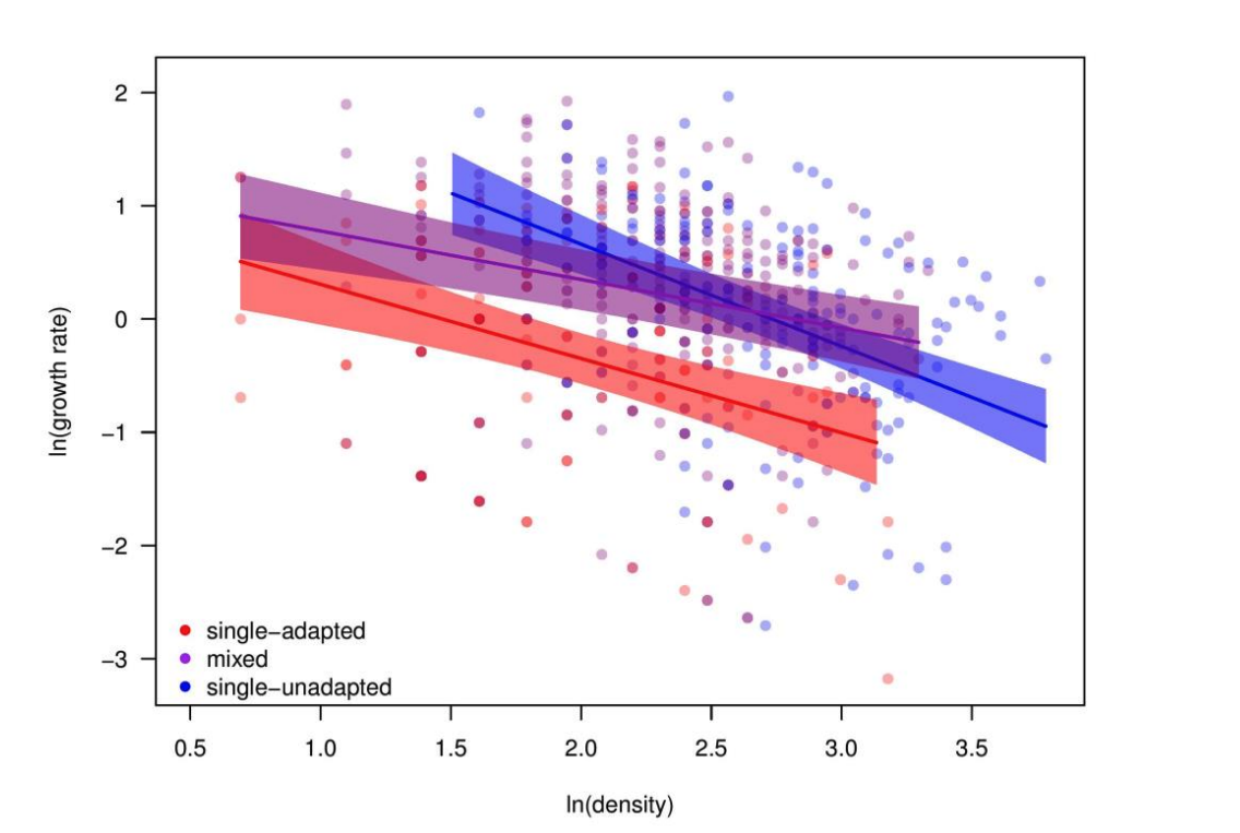 Screenshot 2025 08 19 At 3.26.36 pm (2)