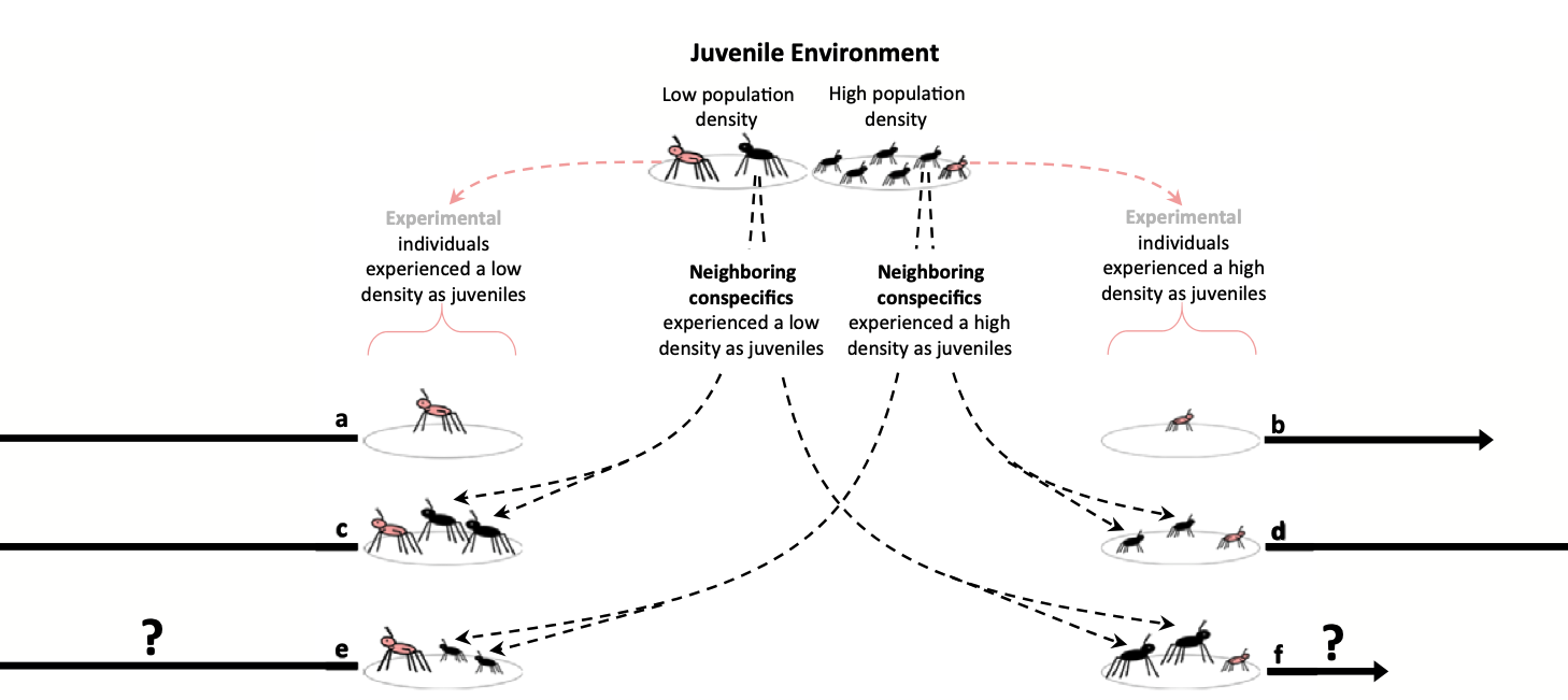 Screenshot 2025 08 19 At 3.33.24 pm (2)