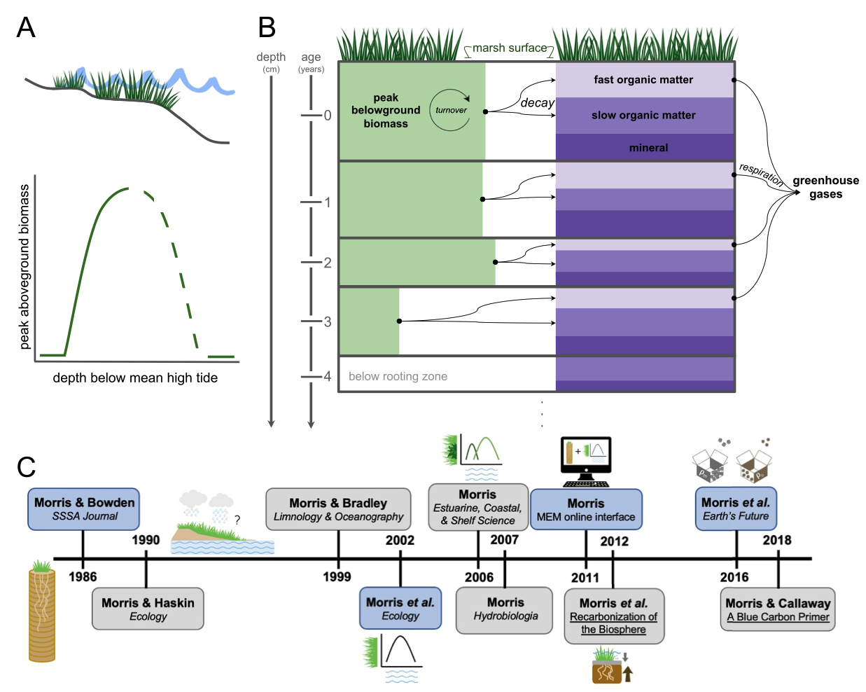 Screenshot 2025 08 19 At 4.00.14 pm (2)