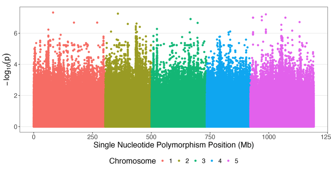 Screenshot 2025 08 19 At 4.26.26 pm (2)