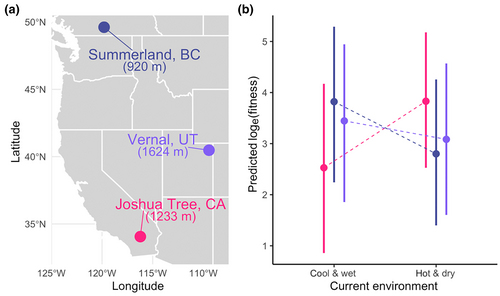 Eco-evolutionary context modifies a destructive plant invader’s response to climate